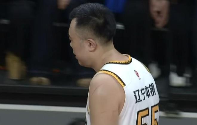 辽宁21分大胜复仇吉林 赵继伟复出送13助攻鄢手骐20分