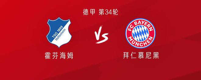 拜仁客戰霍芬海姆：穆勒領銜，凱恩替補，格納布里出戰