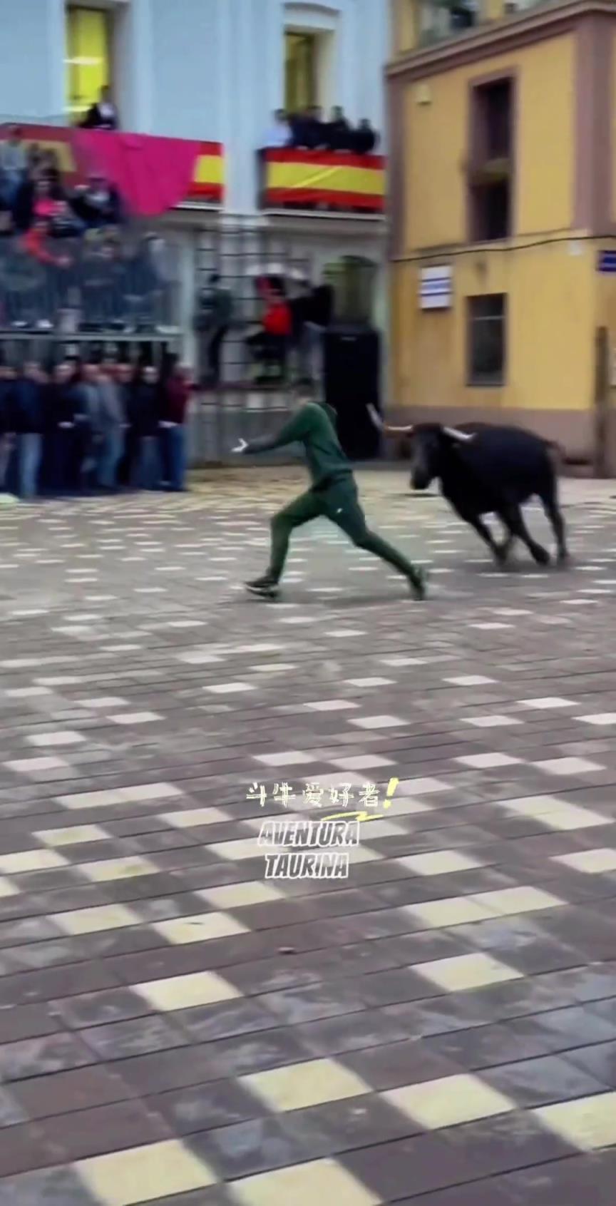 感觉牛要被气死了！