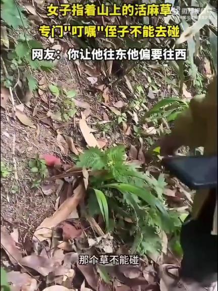 主打叛逆,我偏不信邪 主打叛逆,我偏不信邪