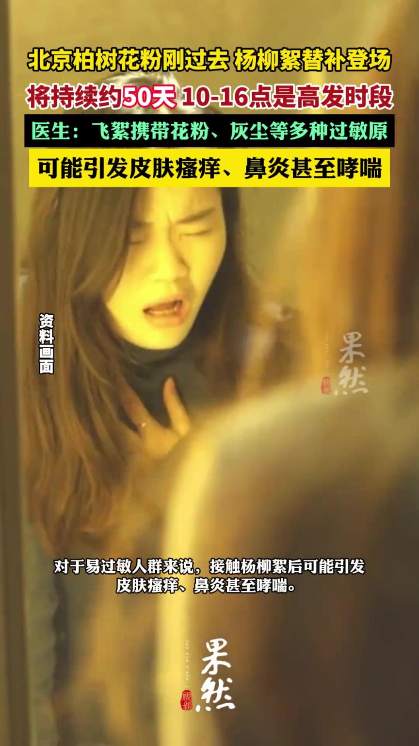 杨柳飞絮预计将持续约50天