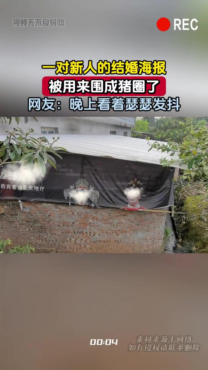 一對新人的結婚海報，被用來圍成豬圈了，網友：晚上看著瑟瑟發抖