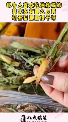 很多人喜欢吃油炸蚂蚱，其实没有那么反胃，切开后里面很干净