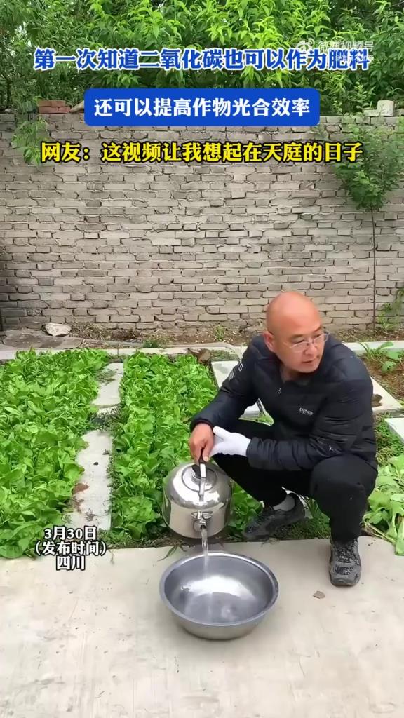 二氧化碳当肥料，还能提高光合效率，长知识！