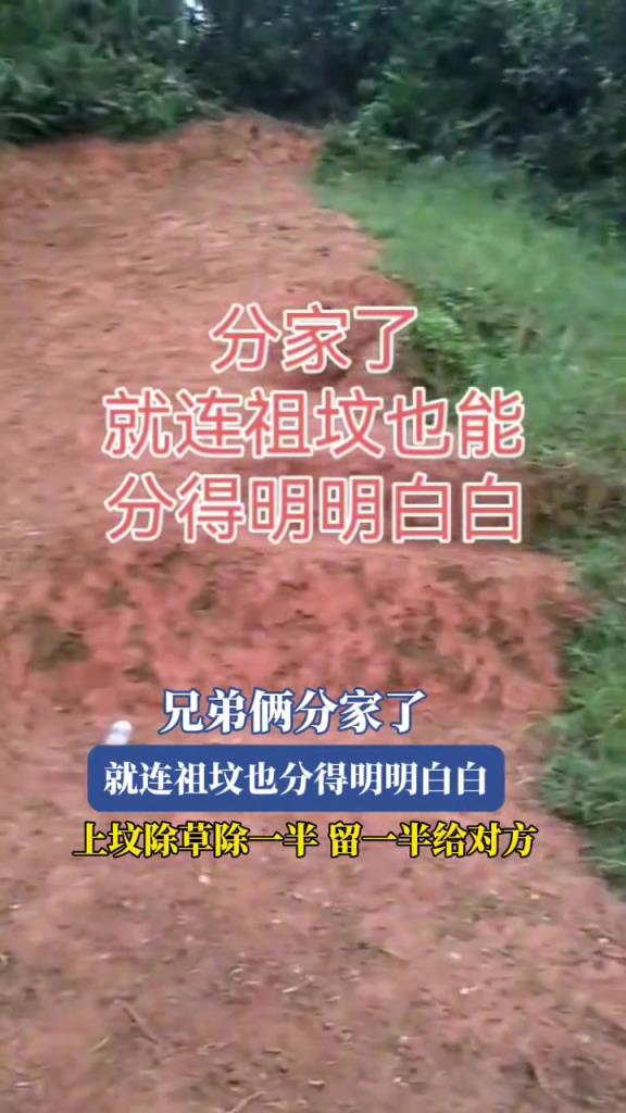 网友:兄弟俩分家了,就连祖坟也分得明明白白!