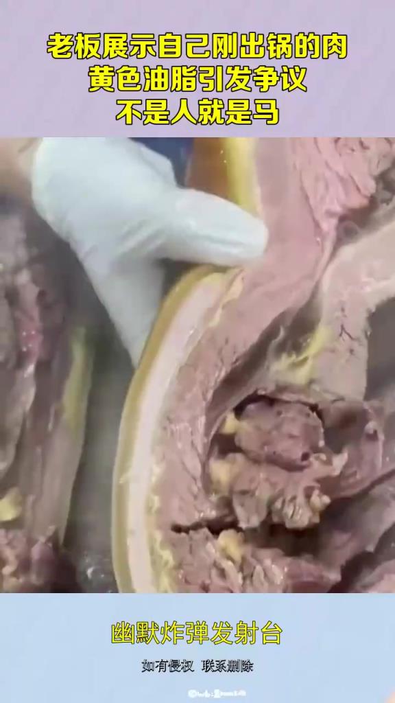老板出锅肉，黄色油脂引争议，是人还是马？