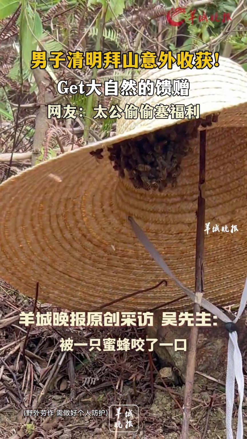 男子清明拜山意外收获！Get大自然的馈赠 网友：太公偷偷塞福利