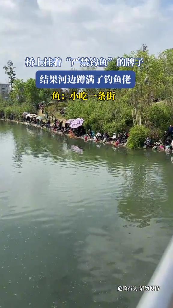 桥上挂着“严禁钓鱼”的牌子,结果河边蹲满了钓鱼佬!