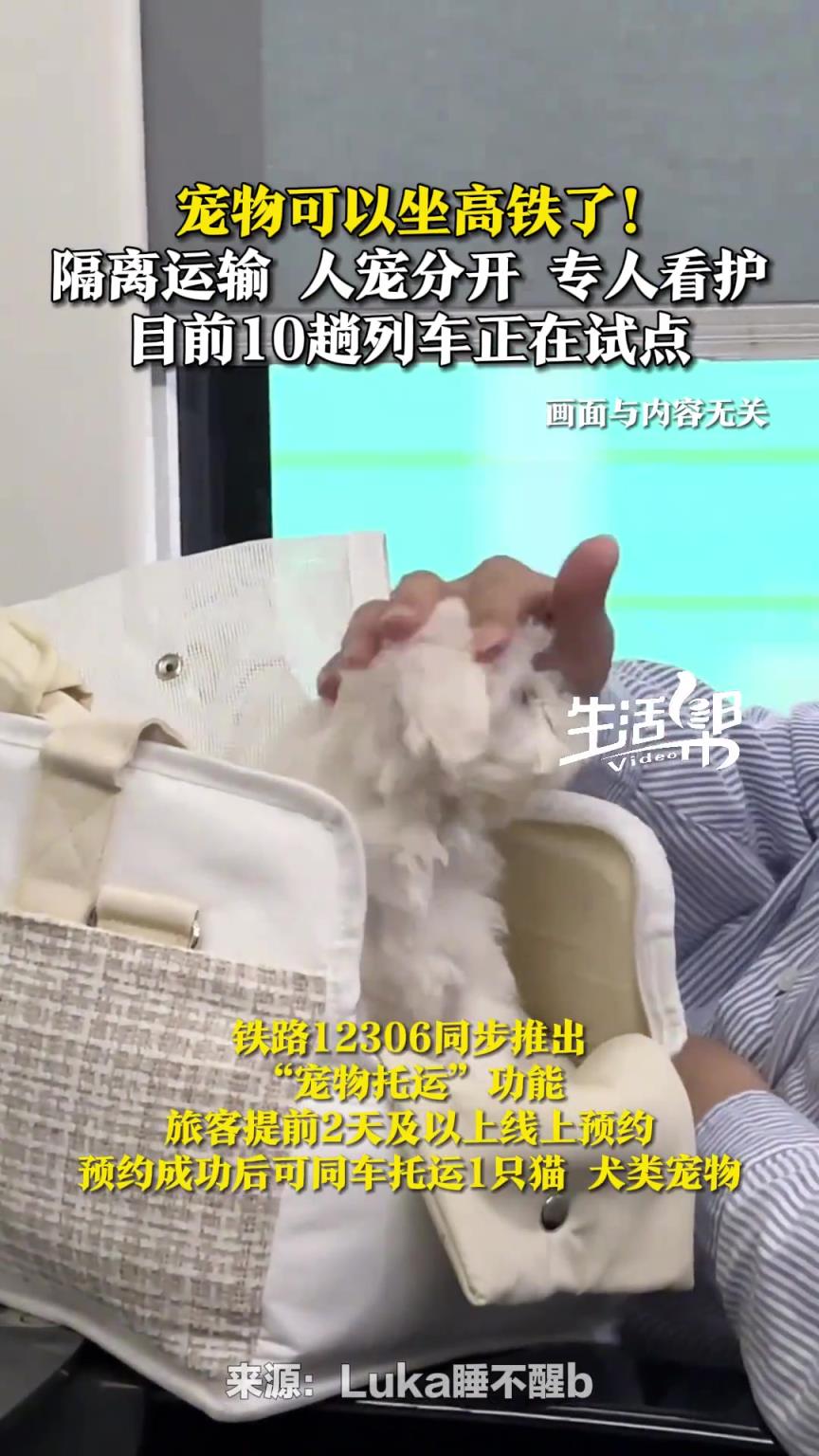 宠物猫狗可以坐高铁了