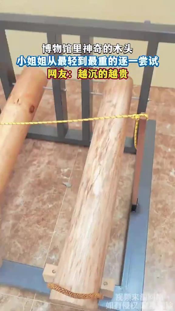 博物馆里神奇的木头，小姐姐从最轻到最重的逐一尝试