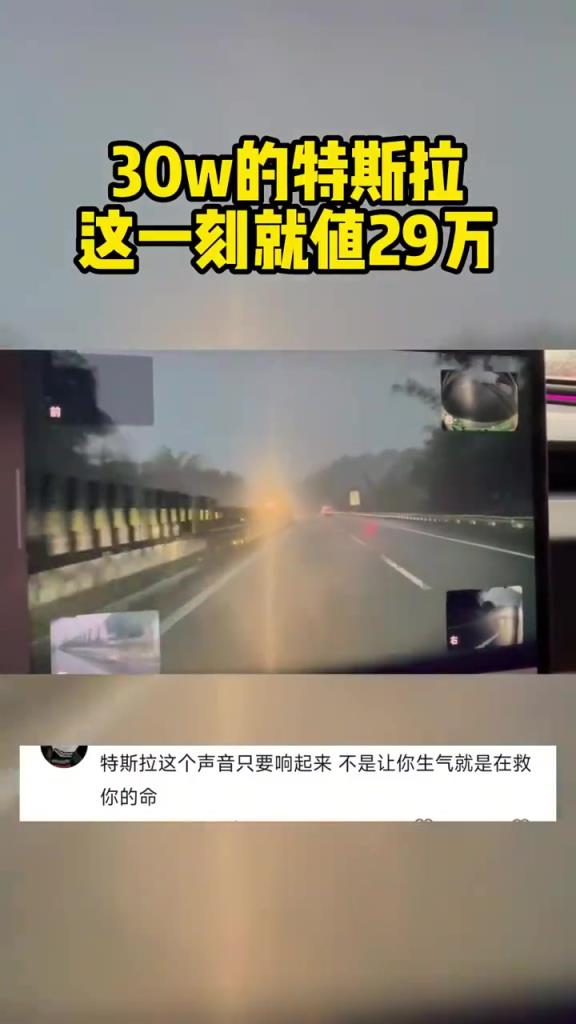 30 万特斯拉这一刻值 29 万，为啥？