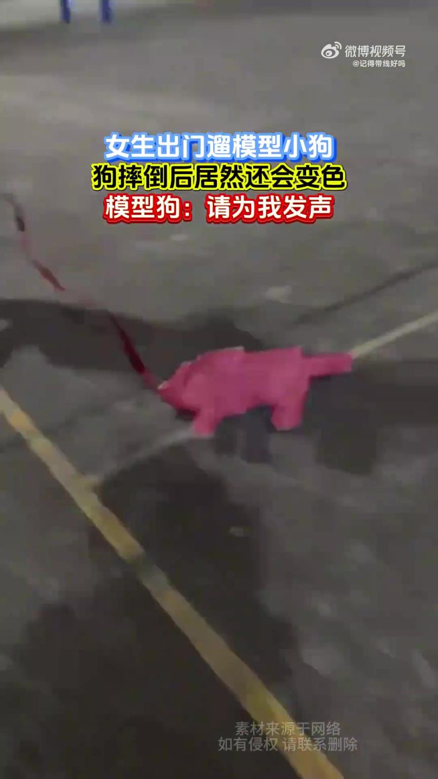 女生出门遛模型小狗，狗摔倒后居然还会变色，模型狗：请为我发声