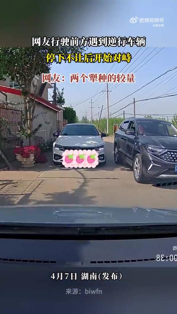 网友行驶前方遇到逆行车辆，停下不让后开始对峙
