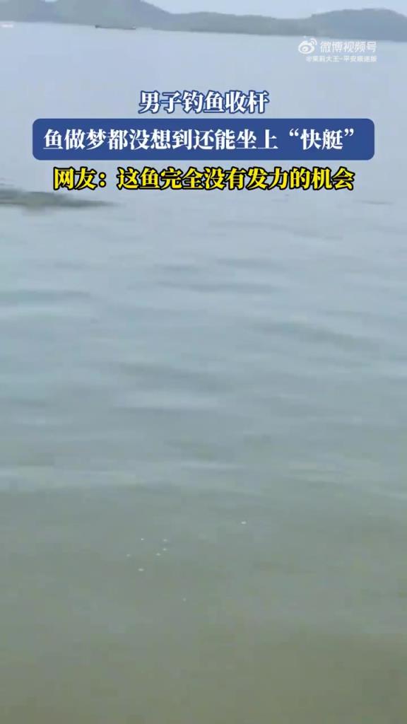 男子钓鱼收杆，鱼做梦都没想到还能坐上“快艇”