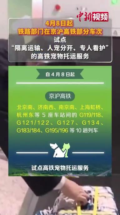 以后宠物也能上高铁了！12306推出宠物托运功能