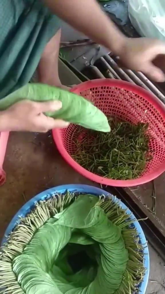 不看地上放的叶子，看手上的以为是什么菜