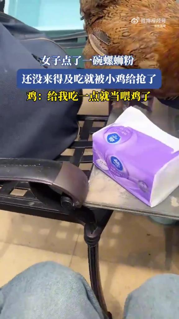 女子螺蛳粉还没吃，就被鸡抢走了