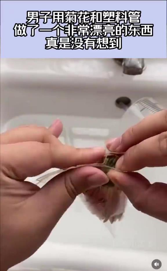 男子用菊花和塑料管，做了一个非常漂亮的东西，真是没有想到