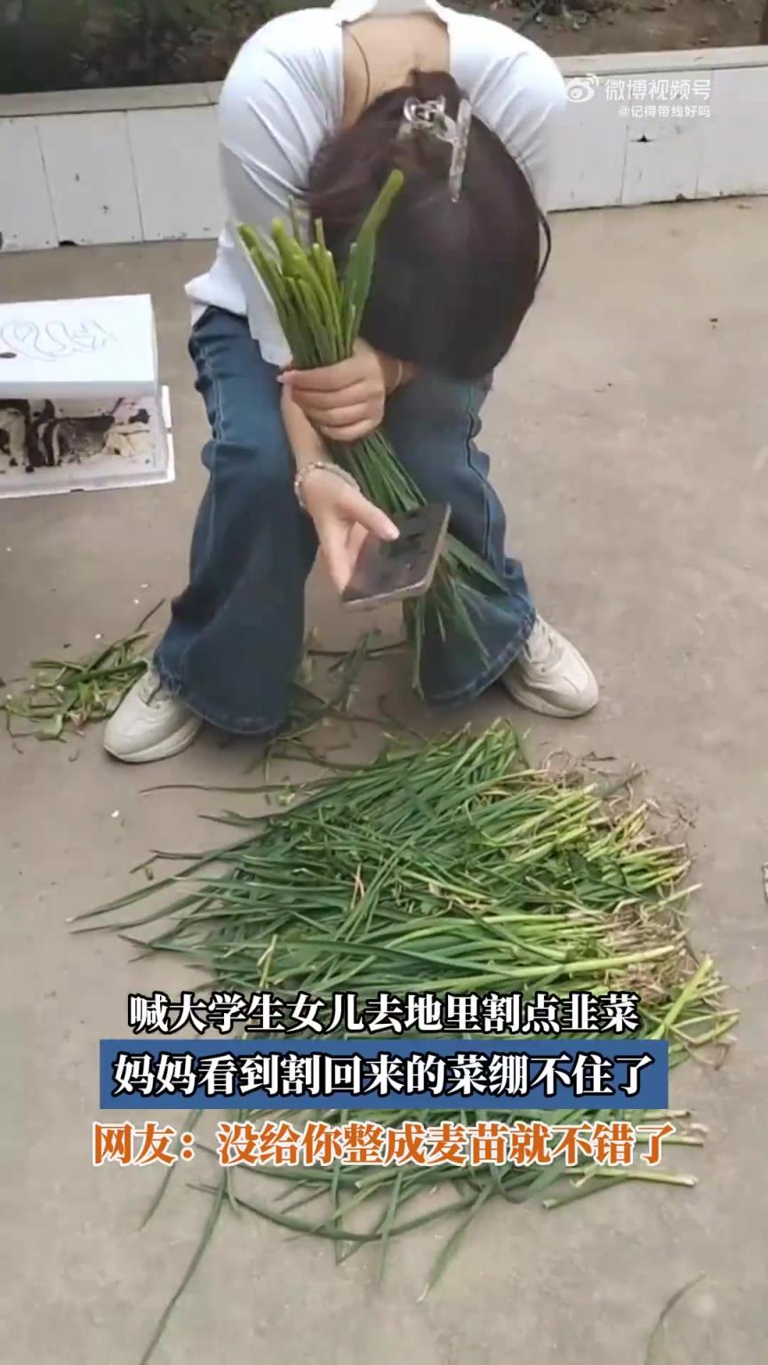喊大学生女儿去地里割点韭菜，妈妈看到割回来的菜绷不住了