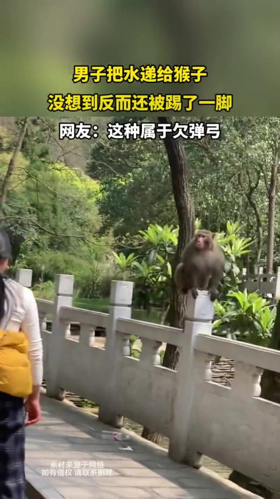 男子把水递给猴子,没想到反而还被踢了一脚!!