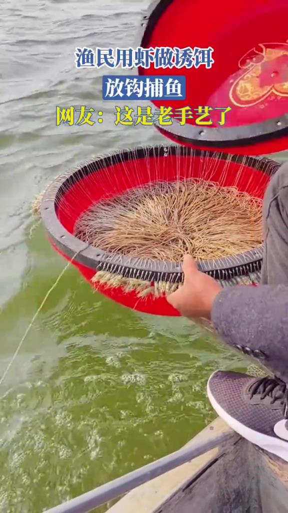 渔民用虾做诱饵，放钩捕鱼，网友：这是老手艺了！