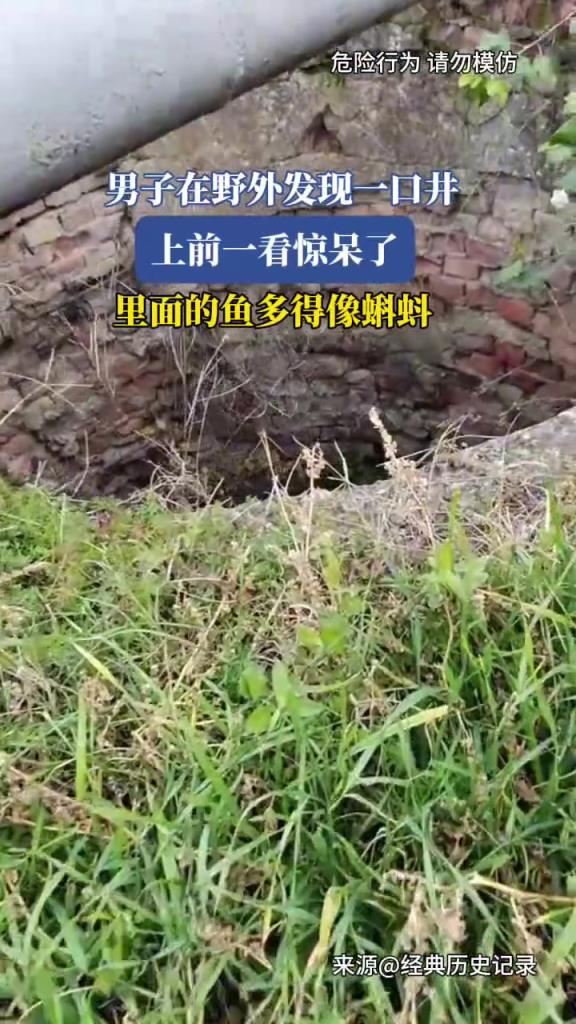男子野外发现一口井,上前一看惊呆了!!!