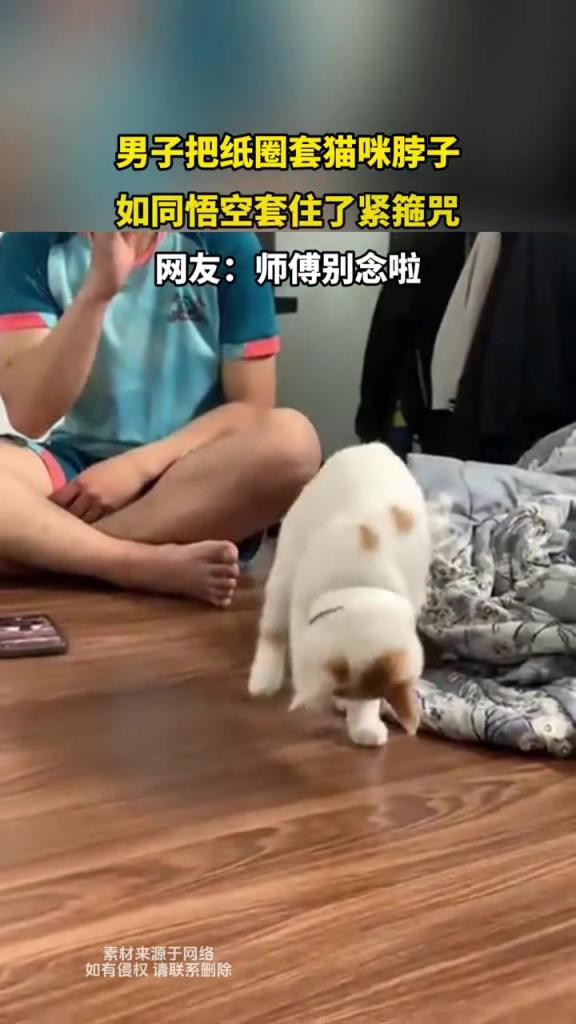 男子把纸圈套猫咪脖子,如同悟空套住了紧箍咒!!