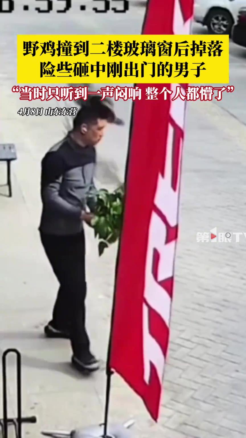 蘑菇都准备好了，你说埋了？？