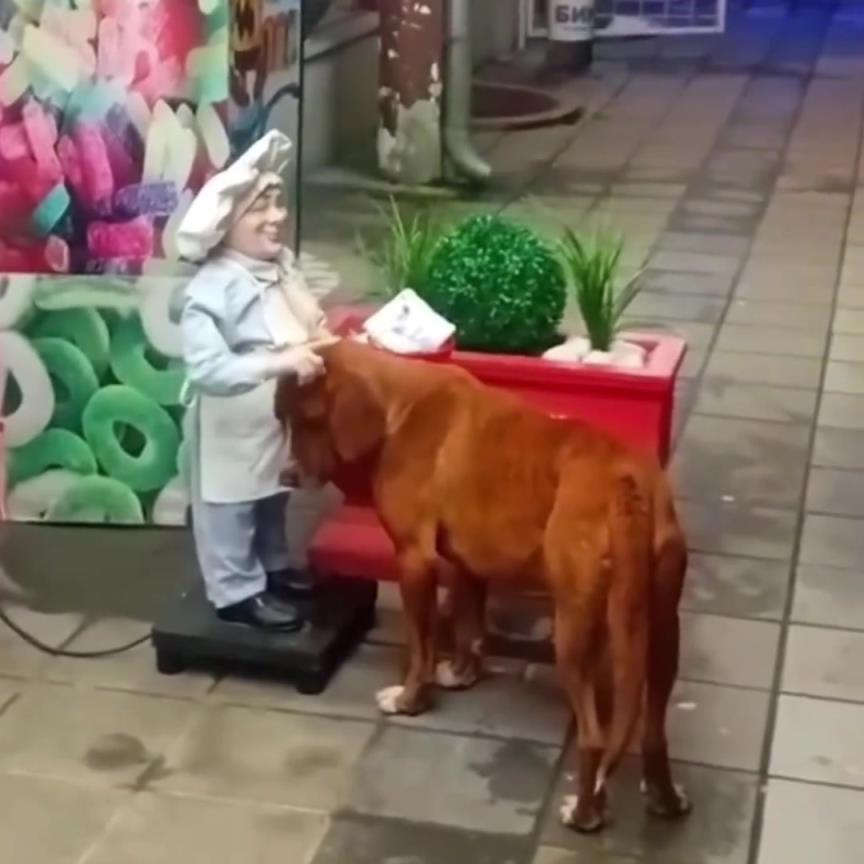 它只是需要得到一些爱。。。