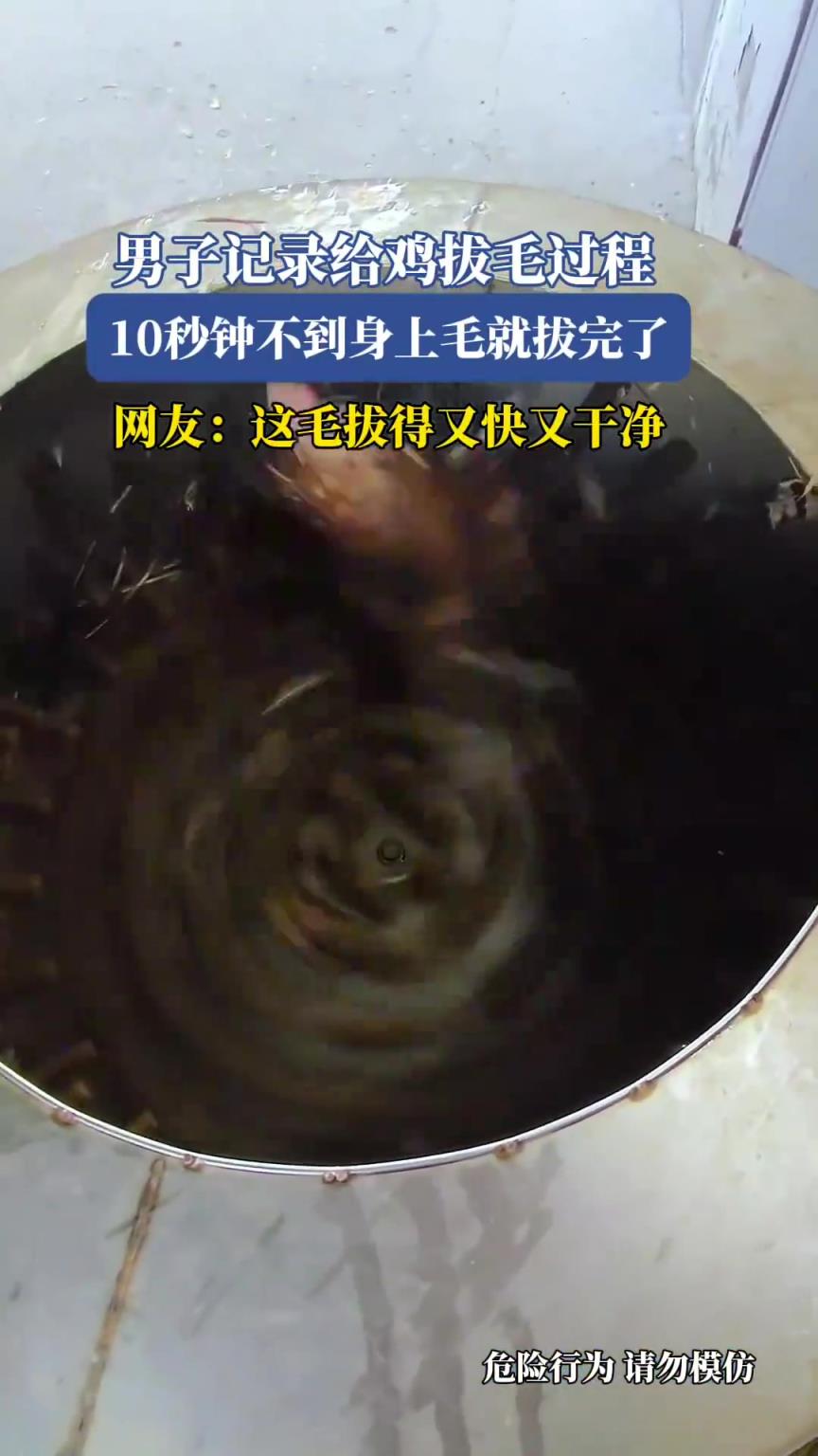 男子记录给鸡拔毛过程，10秒钟不到身上毛就拔完了~~