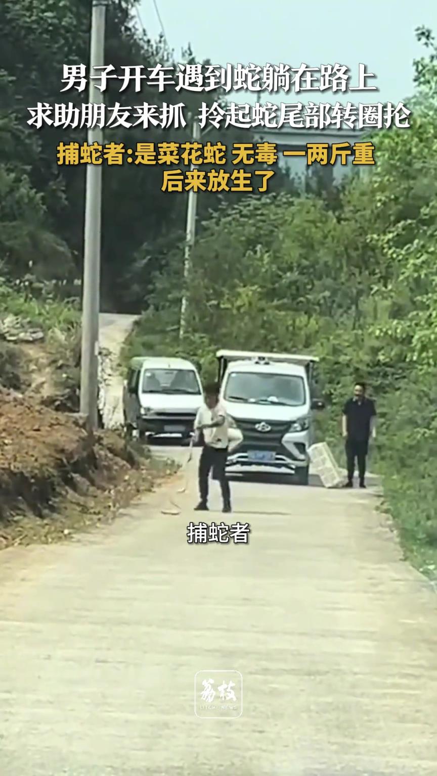 男子开车遇到蛇躺在路上 求助朋友来抓