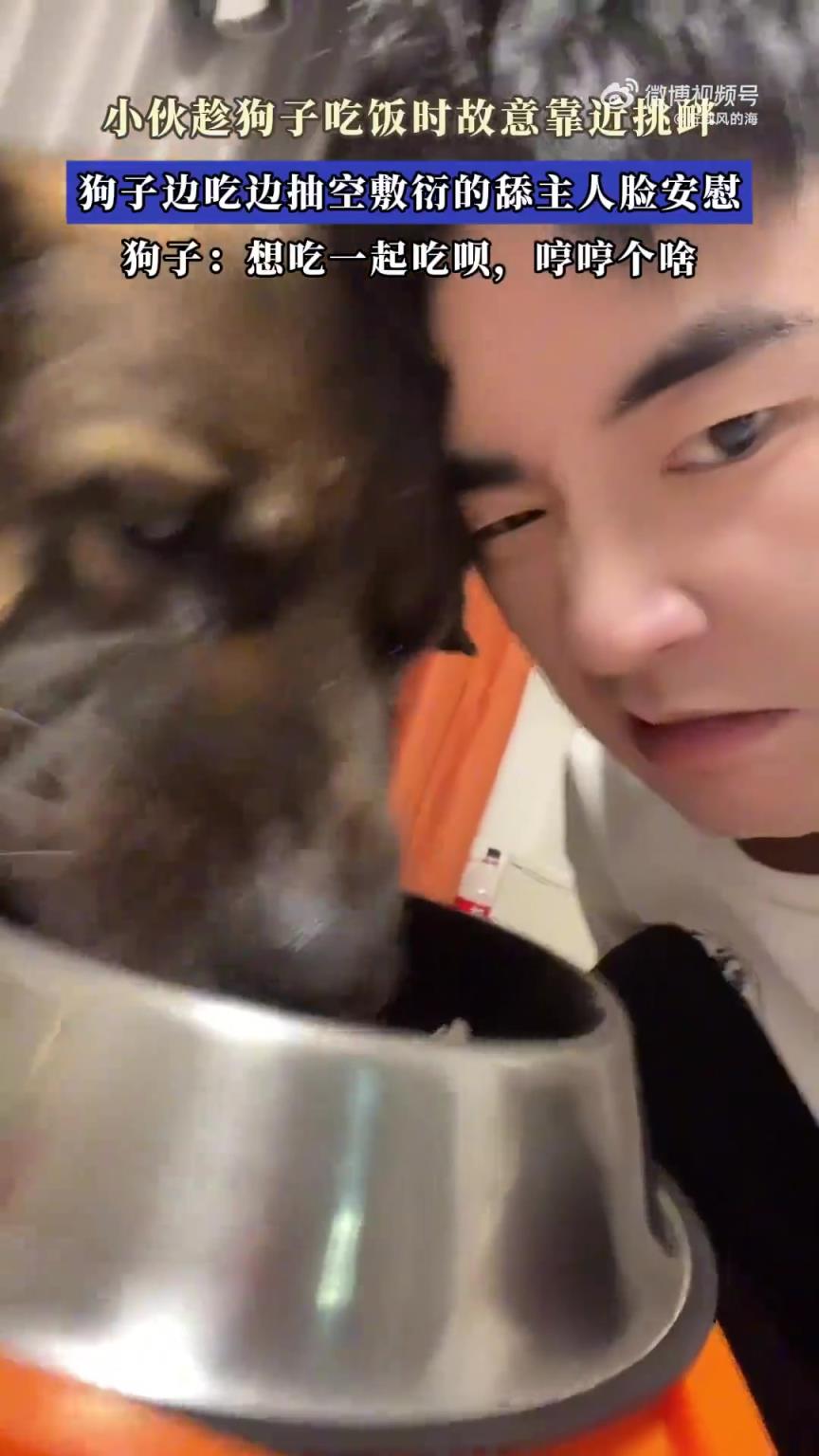 小伙趁狗子吃饭时故意靠近挑衅，狗子边吃边抽空敷衍舔主人脸安慰