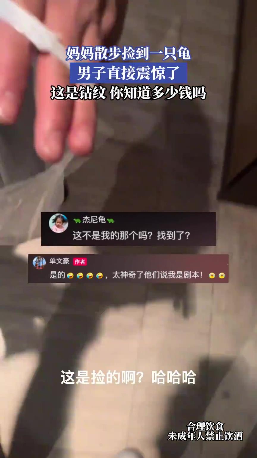 妈妈散步捡到一只龟，男子直接震惊了，这是钻纹你知道多少钱吗