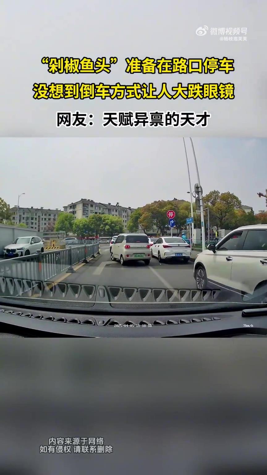 “剁椒鱼头”准备在路口停车，没想到倒车方式让人大跌眼镜