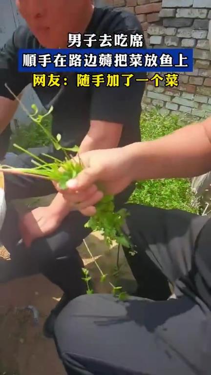 男子去吃席,顺手在路边薅把菜放鱼上,网友:随手加了一个菜!