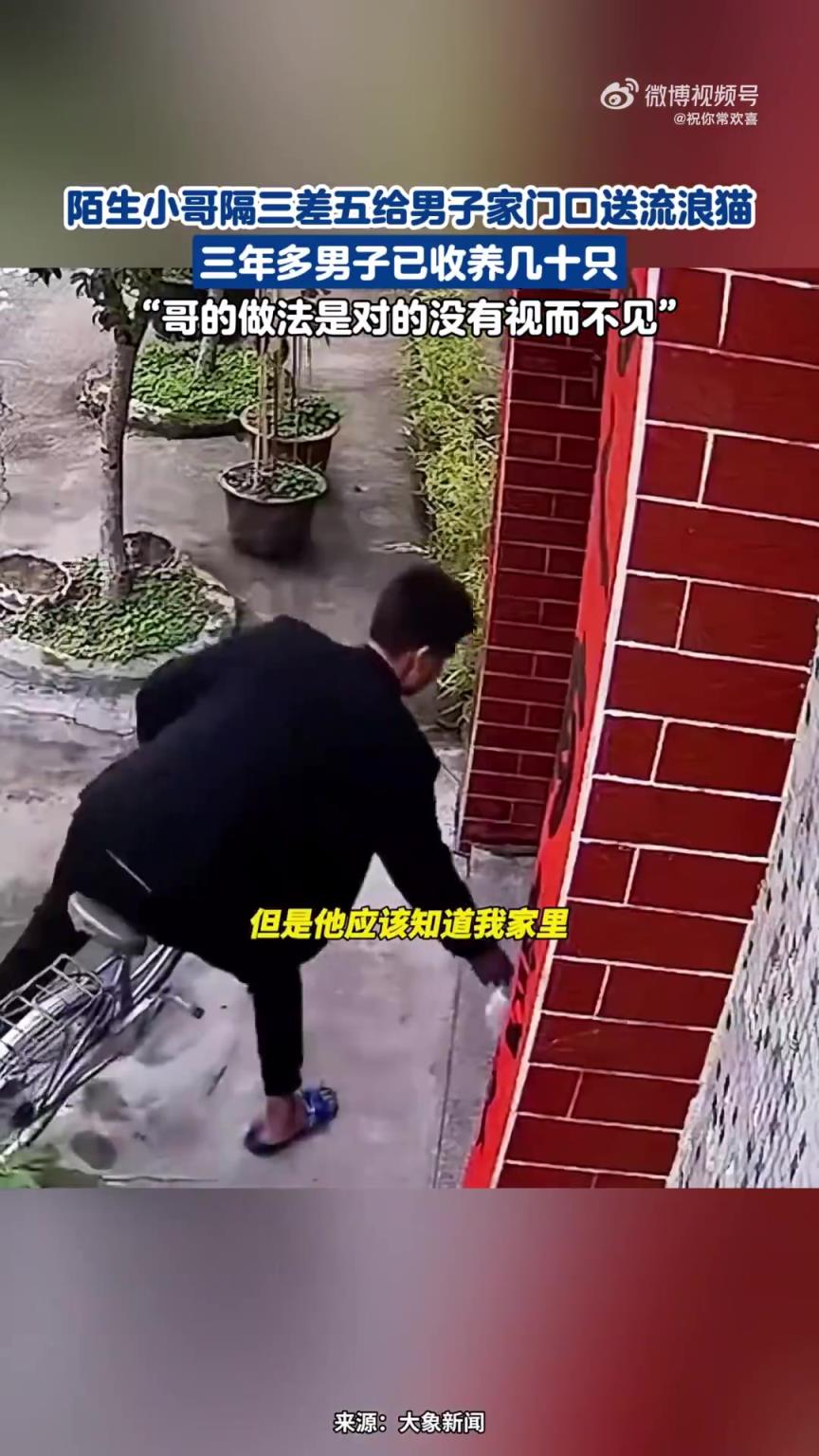 陌生小哥常给男子家门口送流浪猫，三年收养几十只