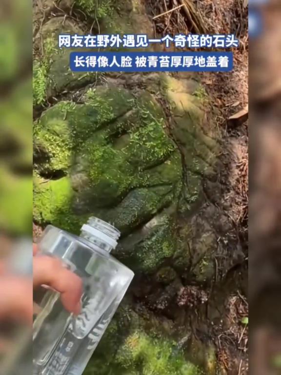 网友在野外遇见一个奇怪的石头,长得像人脸,被青苔盖着!!!!
