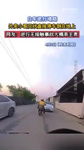白车逆行堵路，外卖小哥见状直接停车倒在地上
