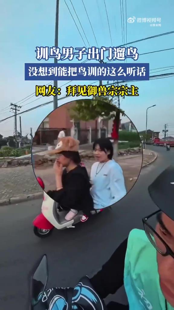 训鸟男子出门遛鸟 没想到把鸟训的很听话