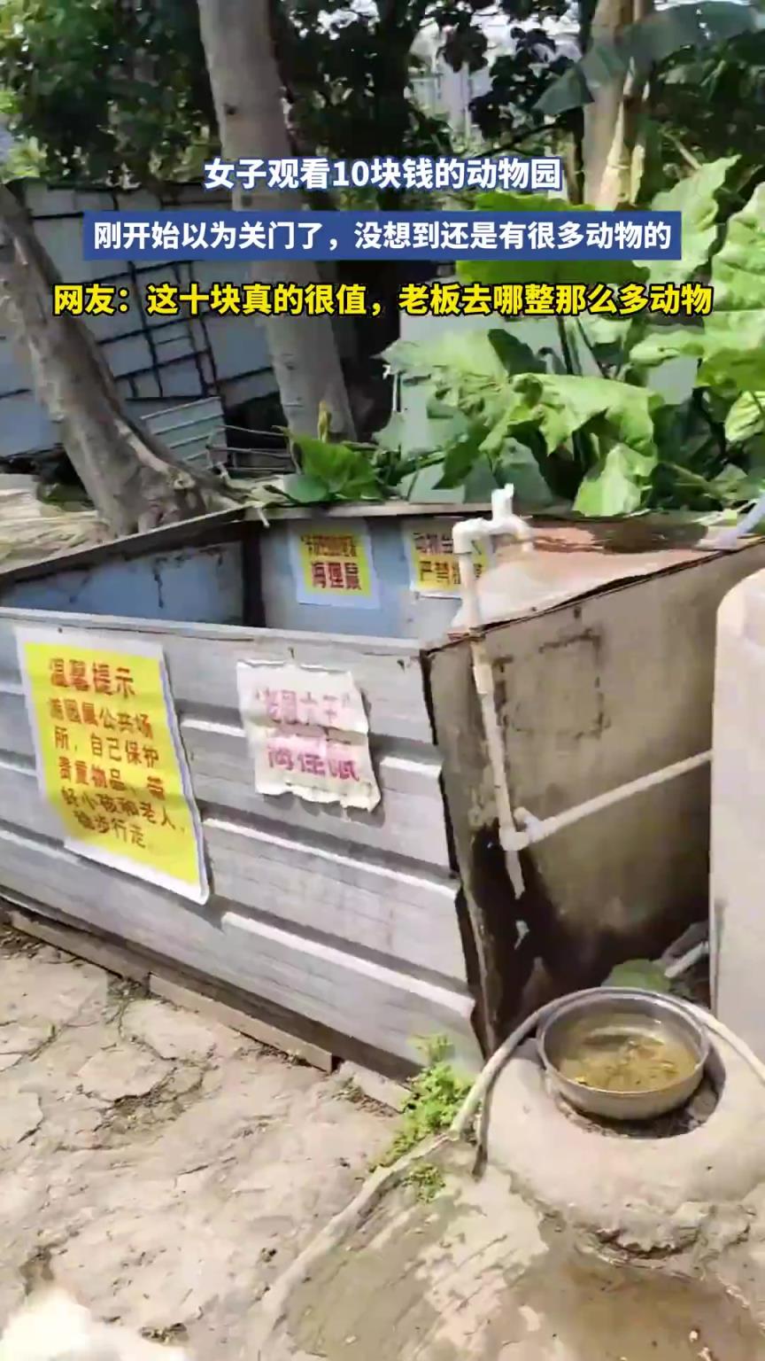 女子观看10块钱的动物园，刚开始以为关门了