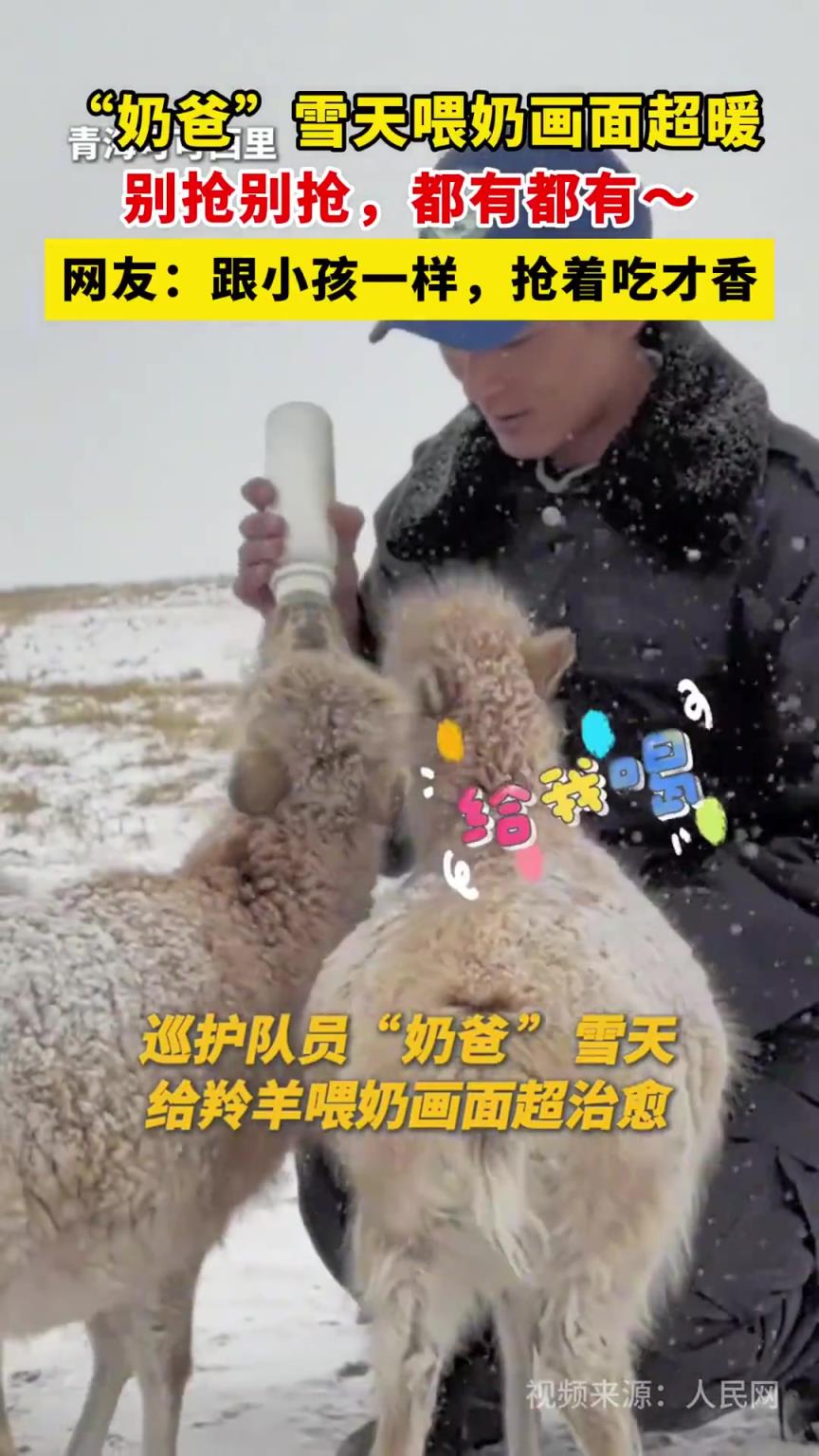 “奶爸”雪天喂奶画面超暖！
