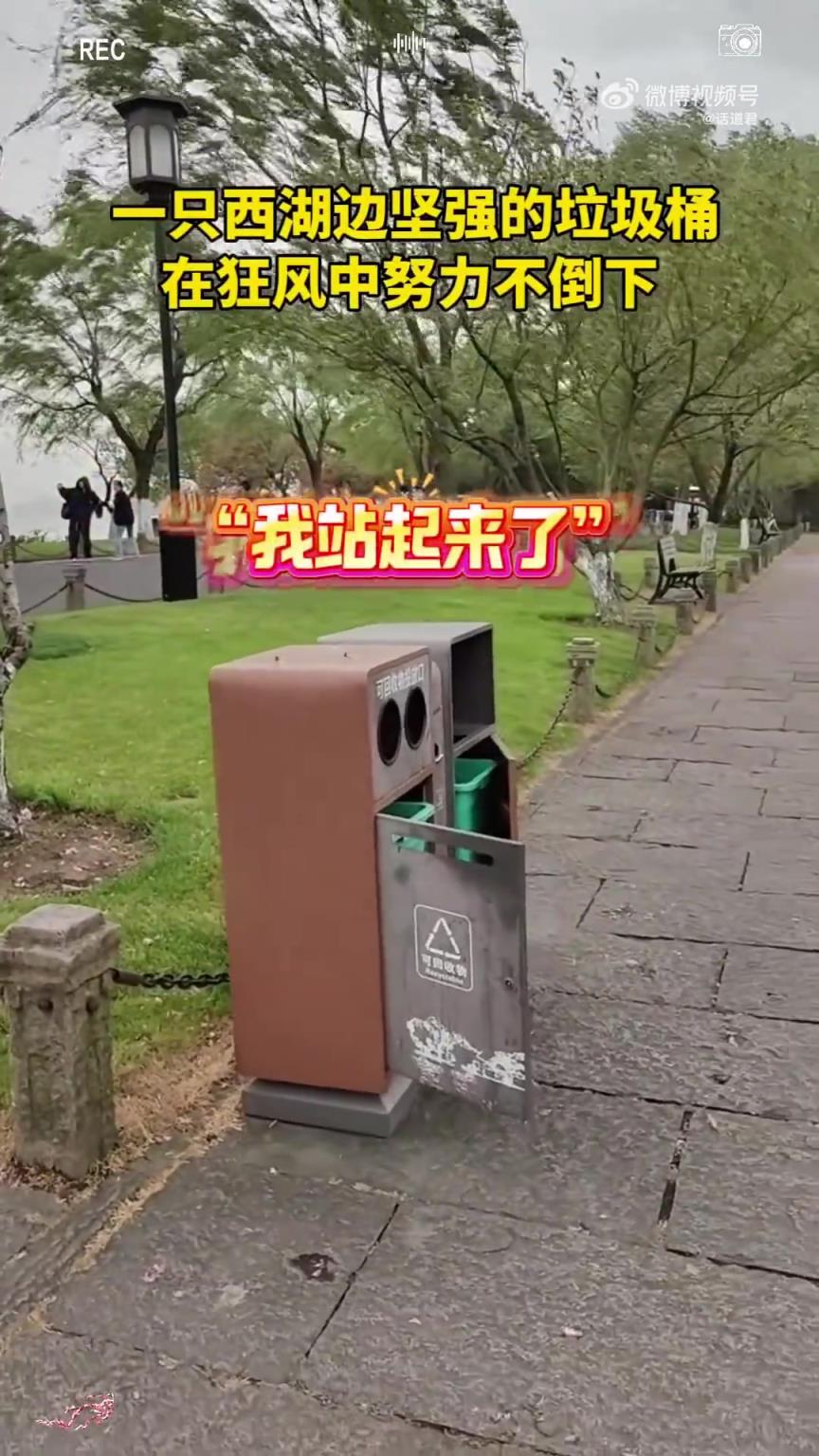 一只在西湖边坚强的垃圾桶，在狂风中努力坚强绝不倒下。