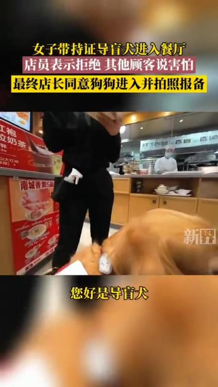 女子带持证导盲犬进餐厅遭拒，沟通后店长同意