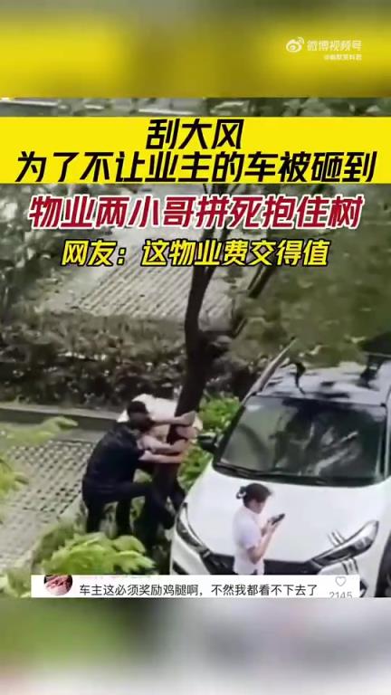 物业小哥：想砸到业主的车，先过我这关！