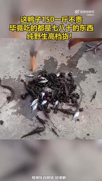 这鸭子150一斤都不贵，毕竟吃的都是七八十的东西