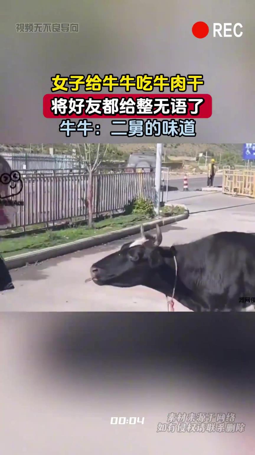 女子给牛牛吃牛肉干，将好友都给整无语了，牛牛：二舅的味道
