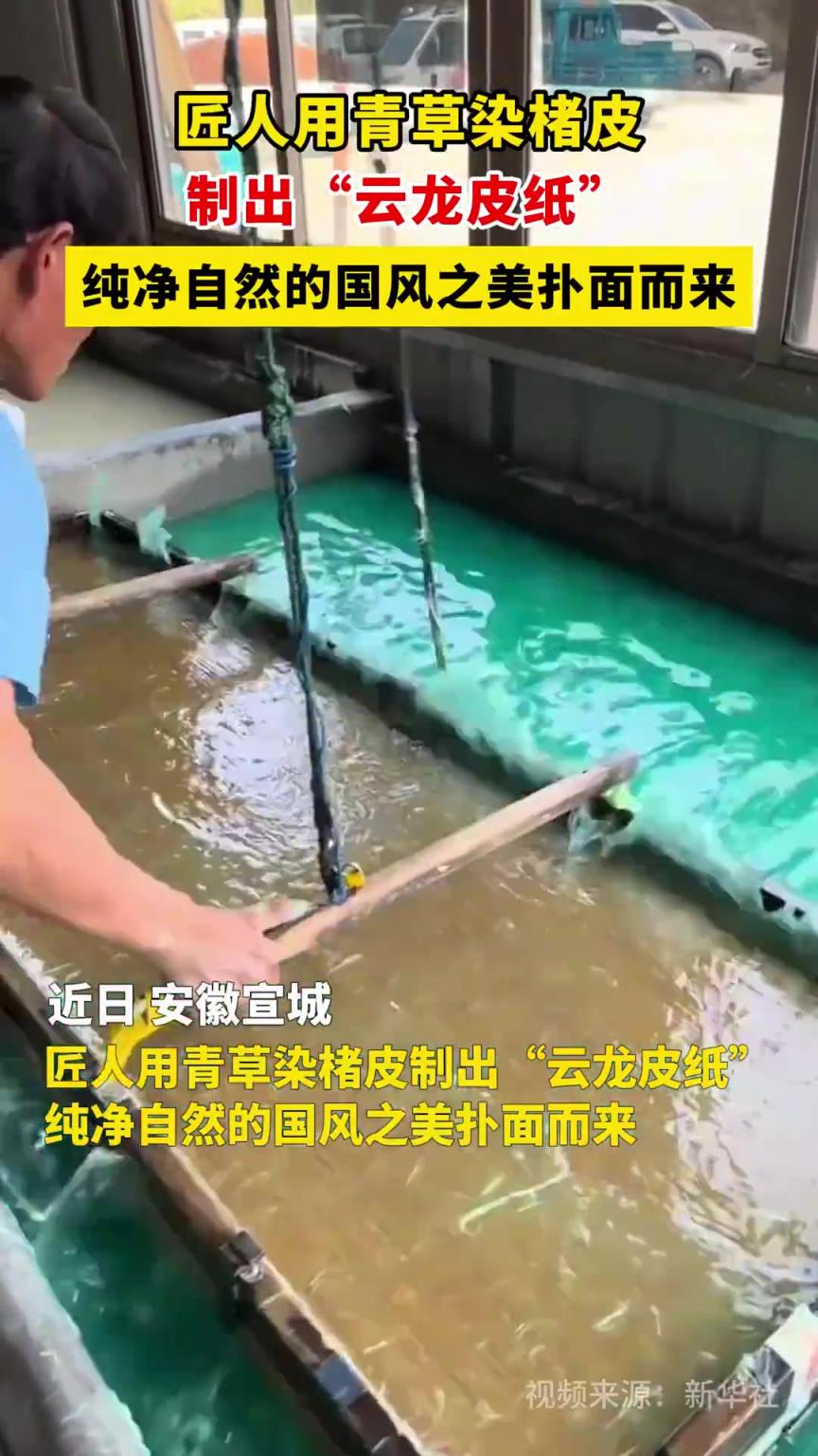 匠人用青草染楮皮，制出“云龙皮纸”