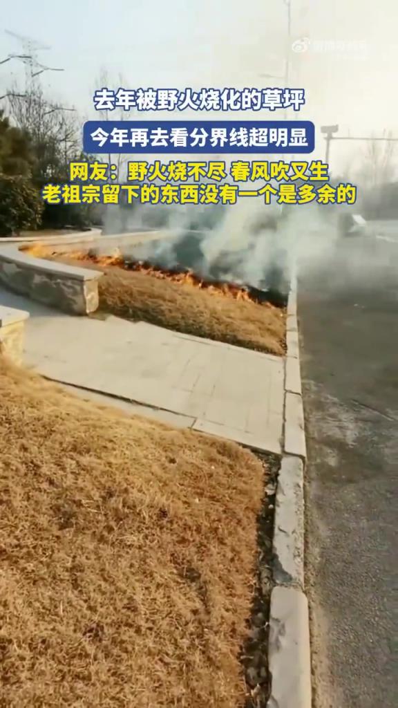 野火烧不尽，春风吹又生！