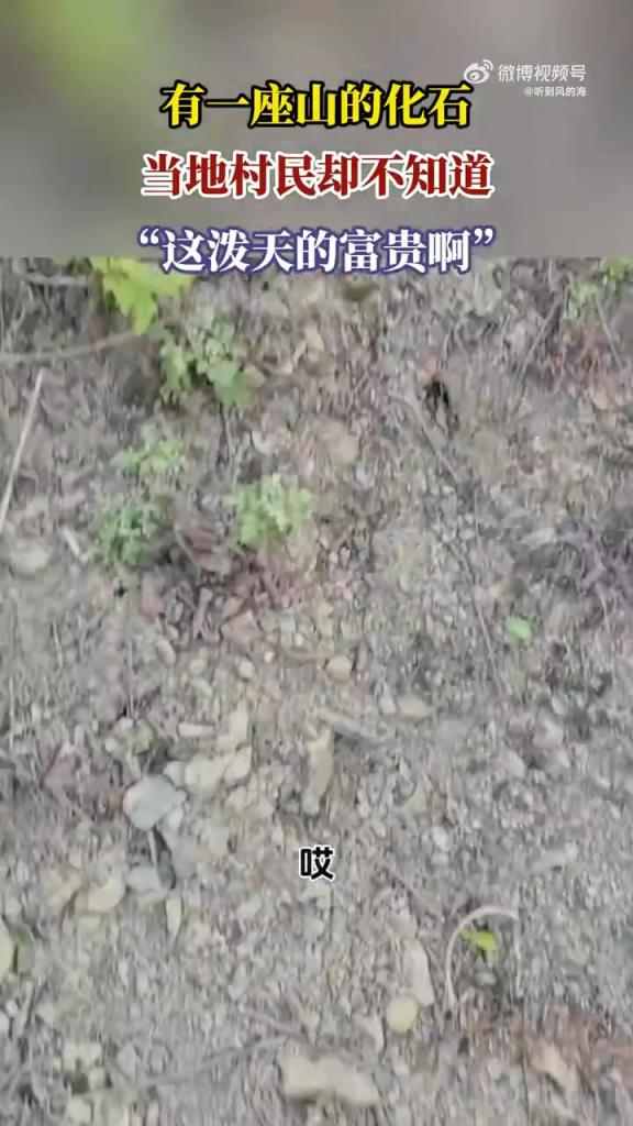 村民不识山化石，网友：泼天富贵在眼前