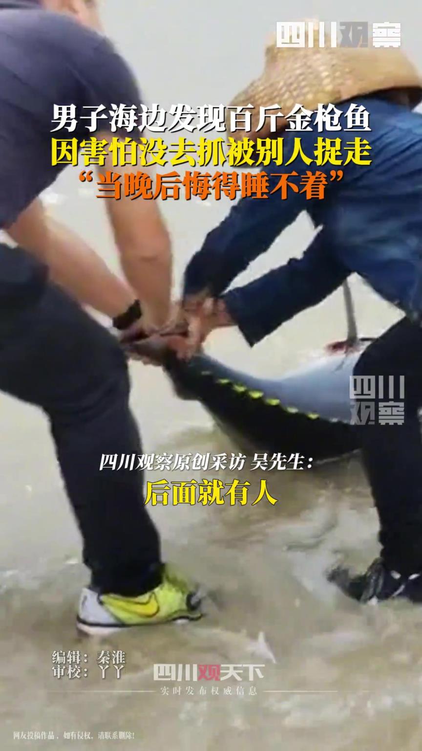男子未捕搁浅金枪鱼后悔失眠，据说价值几千元，后悔得睡不着觉